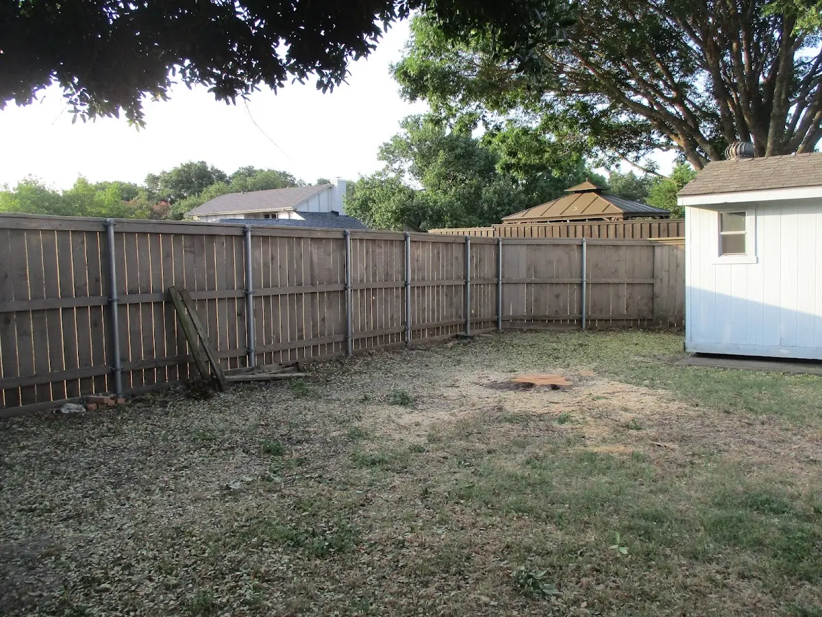 Cleared yard after professional tree removal in Montandon